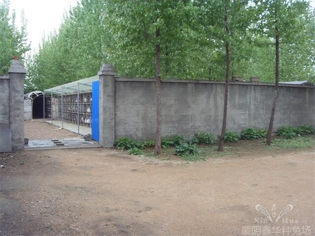 兔場規(guī)劃